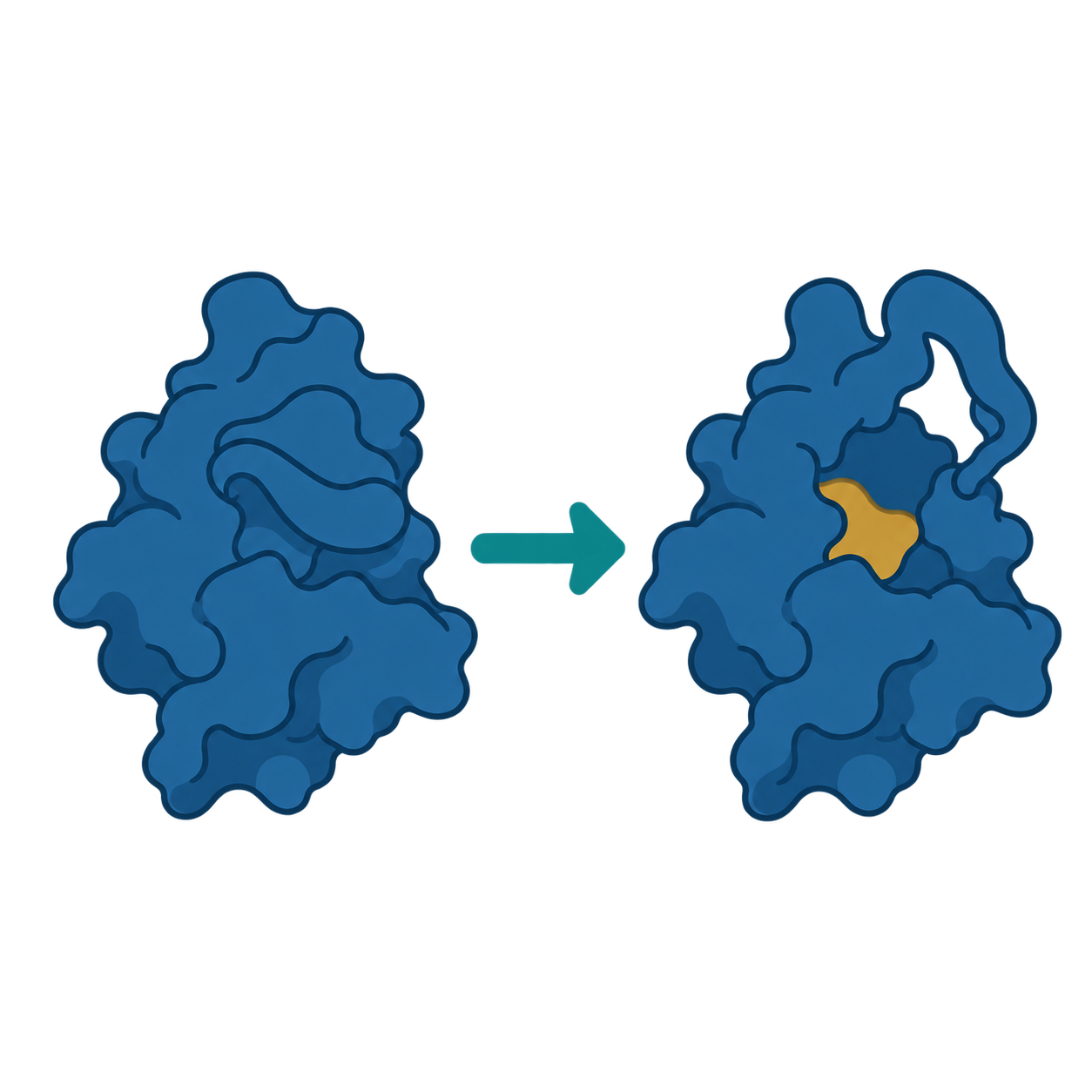 Schematic of a closed protein changing shape to expose a gold pocket